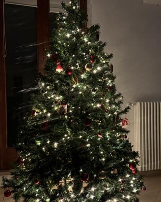 Albero di natale