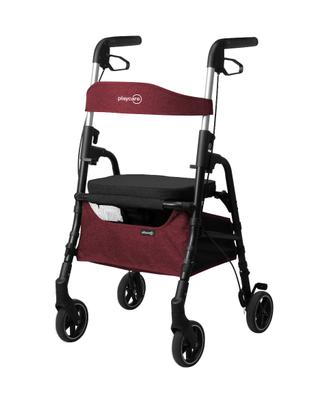 Deambulatore Playcare W04