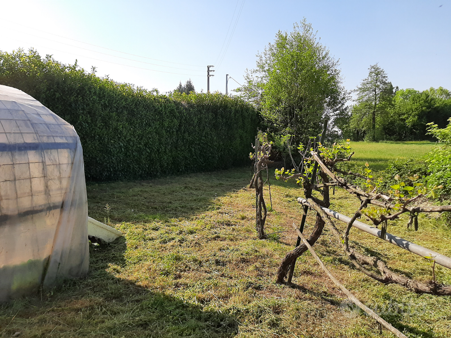 Terreno Agricolo - Vista 3