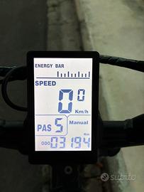 Bici elettrica