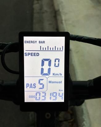 Bici elettrica