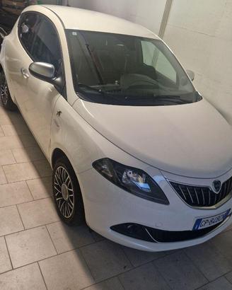 Lancia y alberta ferretti perfetta