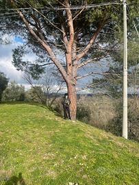 Terreno edificabile colline San Miniato