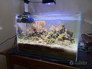 Acquario marino completo