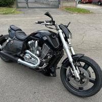 HARLEY-DAVIDSON V-Rod 1250 V-ROD MUSCLE VRSCF
