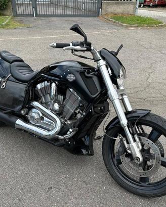 HARLEY-DAVIDSON V-Rod 1250 V-ROD MUSCLE VRSCF