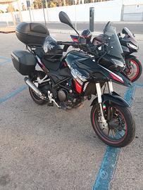 benelli trk 251