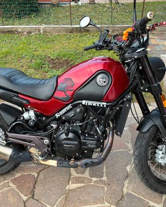 LEONCINO 500 TRIAL 