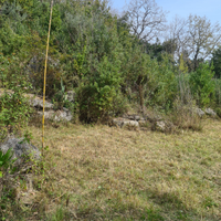 Pulizia terreni o giardini