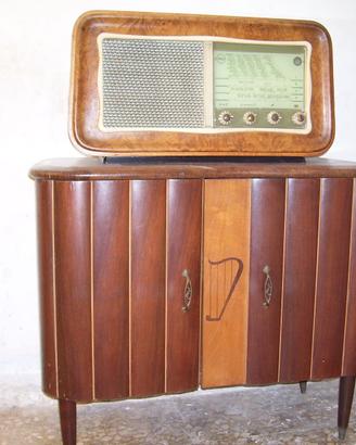 RADIO MOBILE BAR CON FM - FUNZIONANTE - OTTIME CON