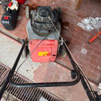 Taglia erba tagiarrba giardino