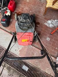 Taglia erba tagiarrba giardino