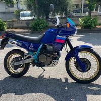 Honda nx 650 dominator 1990 PERFETTA