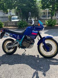 Honda nx 650 dominator 1990 PERFETTA