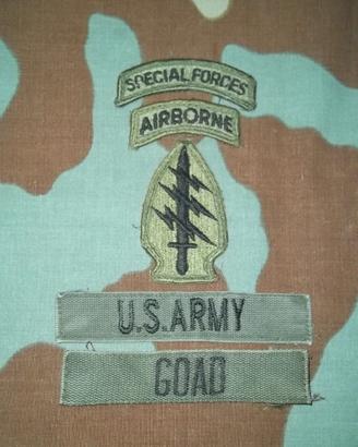 Us Army Special Forces Green Berets Patches