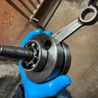 Albero Polini For Race am6