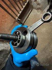 Albero Polini For Race am6