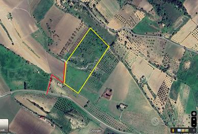 Terreno agricolo edificabile