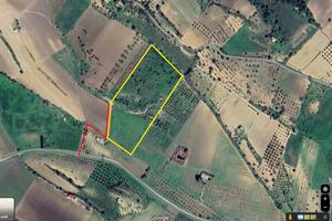 Terreno agricolo edificabile