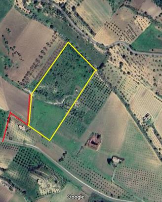 Terreno agricolo edificabile