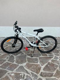 mountain bike