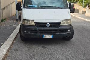 Fiat Ducato 2.8 tdi anno 2003 