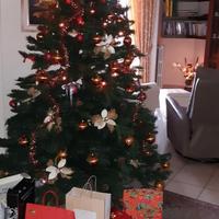Albero di Natale alto 2.10 metri con pini veri 