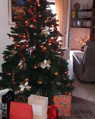 Albero di Natale alto 2.10 metri con pini veri 