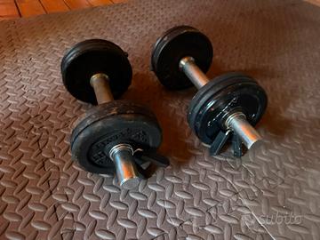 Manubri palestra