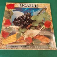 Vinile Ligabue 