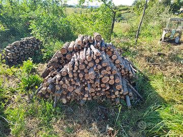 legna da ardere in tronchetti per stufa e caminett