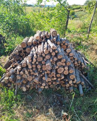 legna da ardere in tronchetti per stufa e caminett