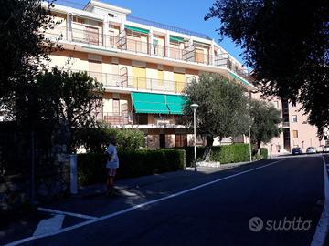 Trilo 250 m. mare