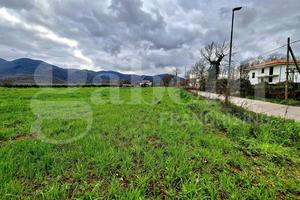 Terreno Agricolo Riardo [Cod. rif 3297312VCG]