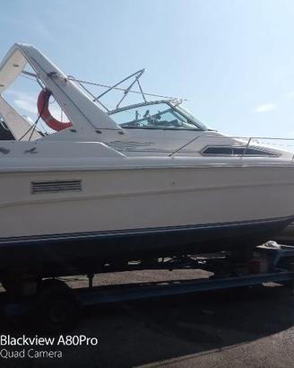 cabinato bimotore diesel