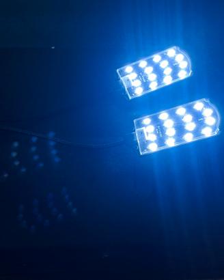 Luce led acquario 