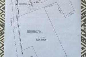 Terreno agricolo uso commerciale