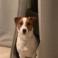 Fidanzata zona Trento