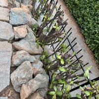 Pietre di luserna per giardino