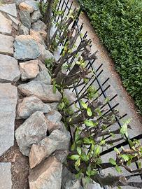 Pietre di luserna per giardino