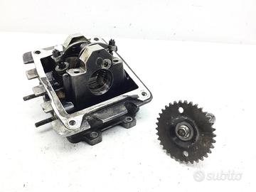 APRILIA SCARABEO 4T 50 TESTA TESTATA HEAD COMPLETA