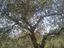 Immagine 14