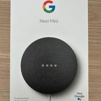 Google Nest Mini 2 Generazione