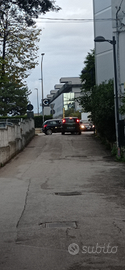 A ragazza/femmina lavoratrice referenziata