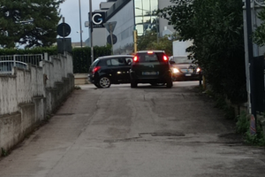 A ragazza/femmina lavoratrice referenziata