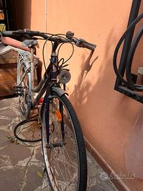 Bici da donna