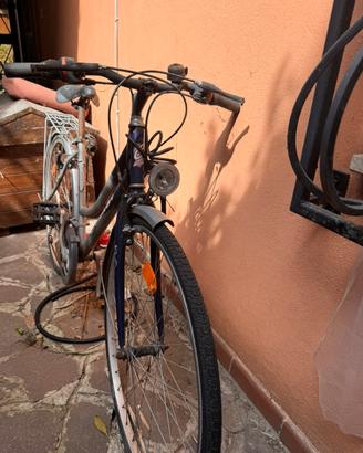 Bici da donna