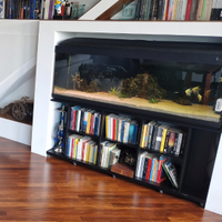 Acquario acqua dolce 500 litri completo di pesci e