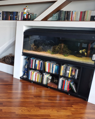 Acquario acqua dolce 500 litri completo di pesci e