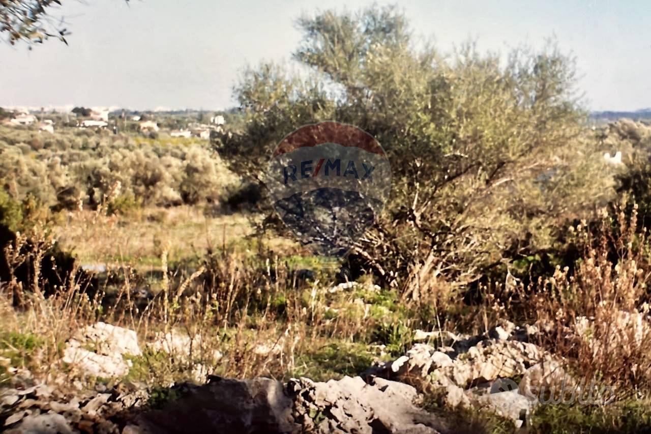 Terreno - Siracusa - Vista 5